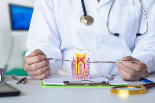 Best Emergency Dental Care for Trauma or Injury in Lockport, LA